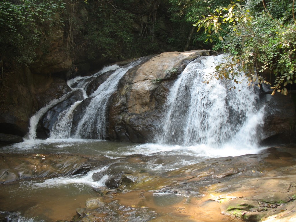 Read more about the article ท่องแม่ริม – สะเมิง