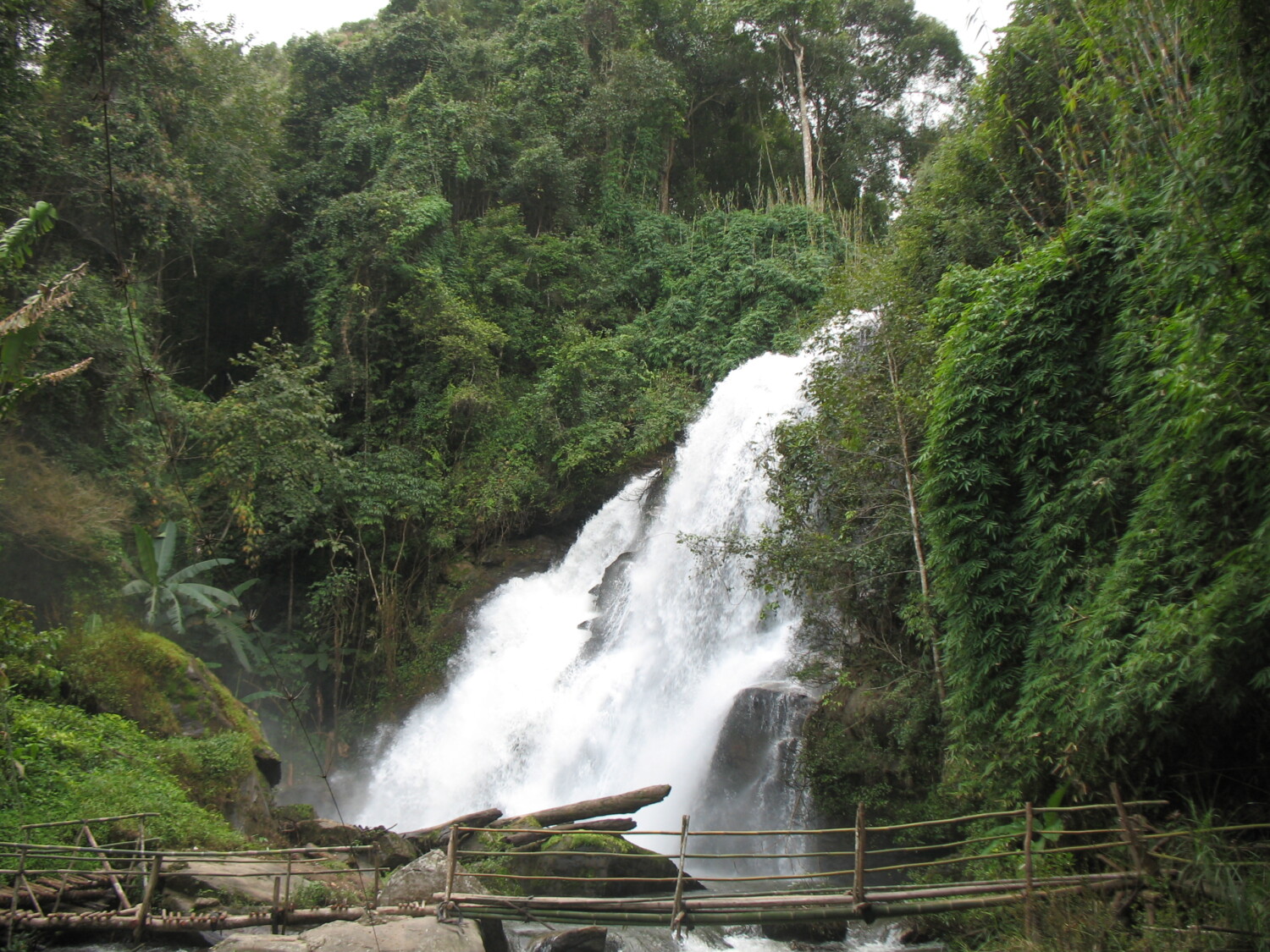 Read more about the article พิชิตดอยอินทนนท์